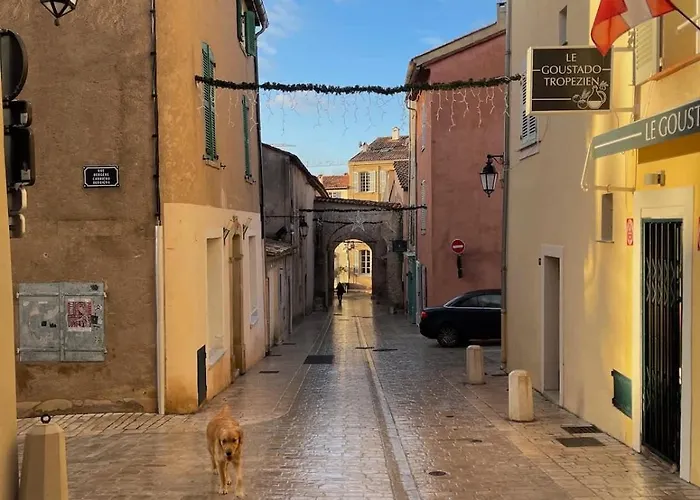 Sevo L L Shellter Apartment *